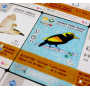 Wingspan Extension Fan Art Pack