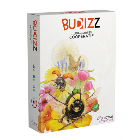 Budizz