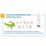 Mon Grand Coffret des Lettres