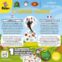 Dobble Le Seigneur des Anneaux