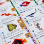 Finspan Ext. Requins & Récifs