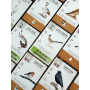 Wingspan Pocket