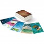 Dixit Mirrors