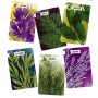 Herbaceous