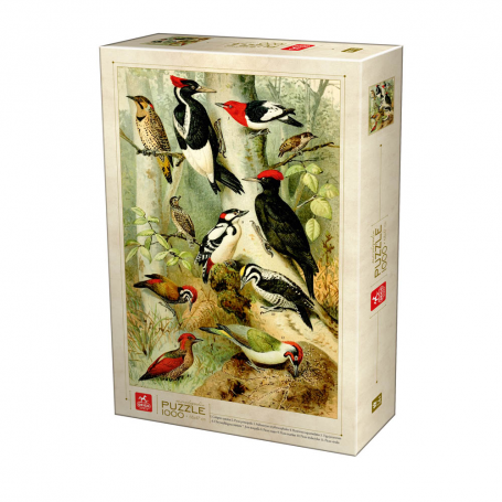 Puzzle Encyclopedia - Birds