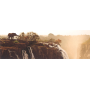 Puzzle Panorama - Eléphant