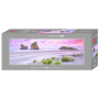Puzzle Panorama - Wharariki