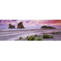 Puzzle Panorama - Wharariki