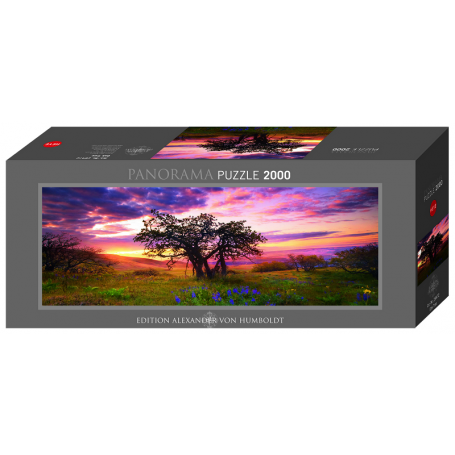 Puzzle Panorama - Arbre : Chêne