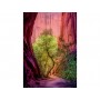 Puzzle Power of Nature - Singing Canyon